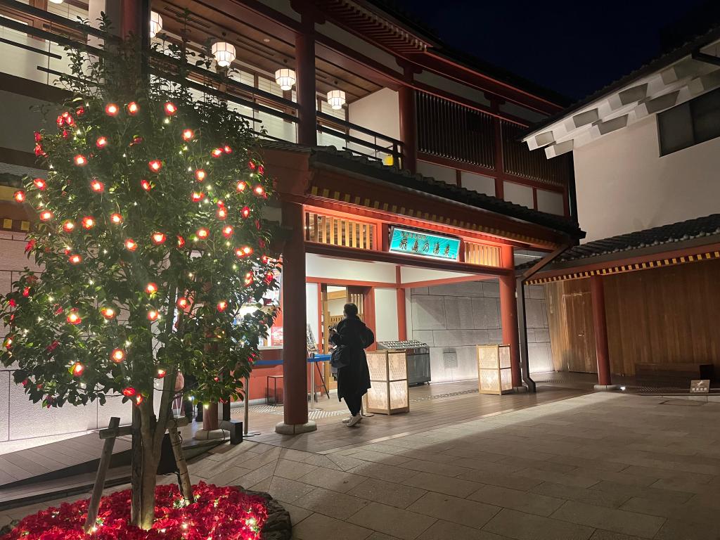 寒い日が続いてます