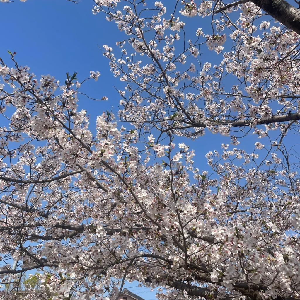 散歩