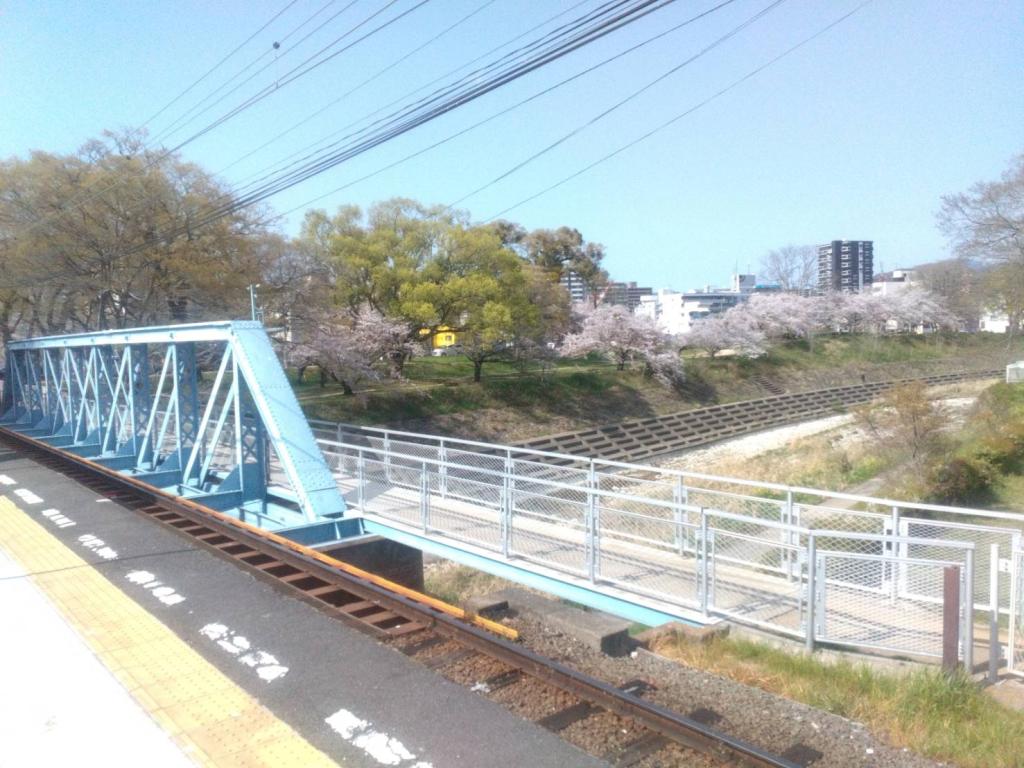 お花見の名所