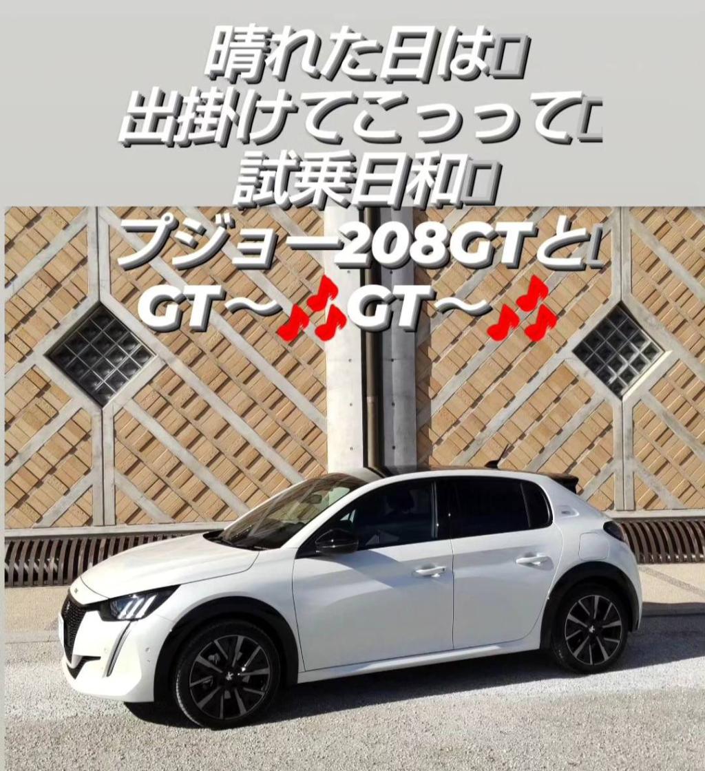 ホットハッチ  PEUGEOT 208