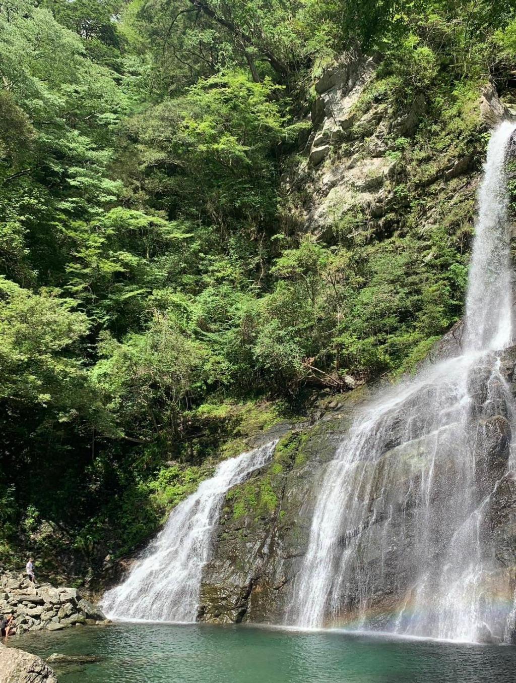 高知の滝🌊
