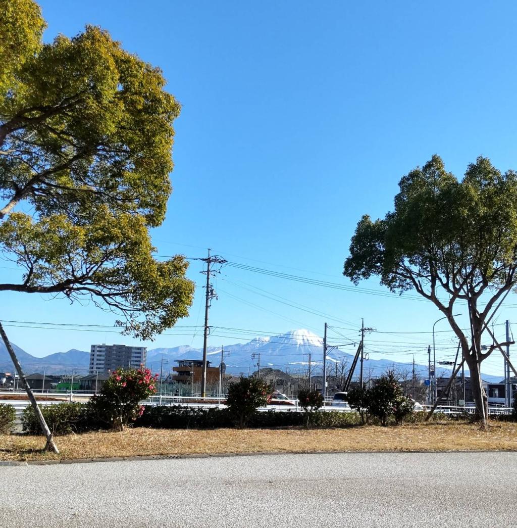 ＣＯ２削減と地域にお役立ち