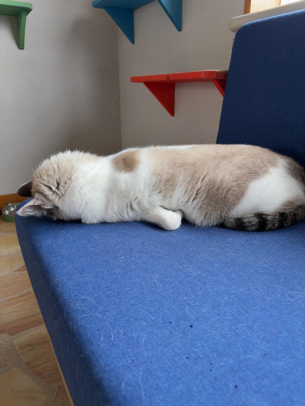 なんちゅー寝方やねん(笑)