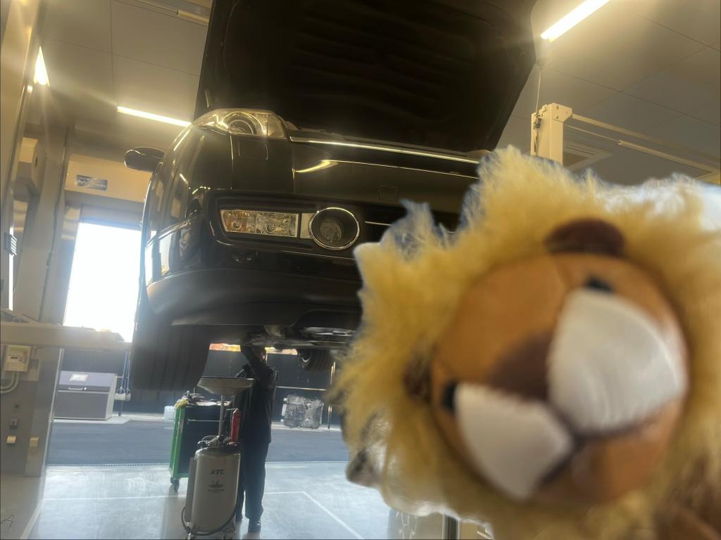 ご入庫ありがとうございます！