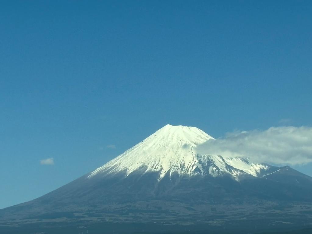 ４月も半月が経ちました