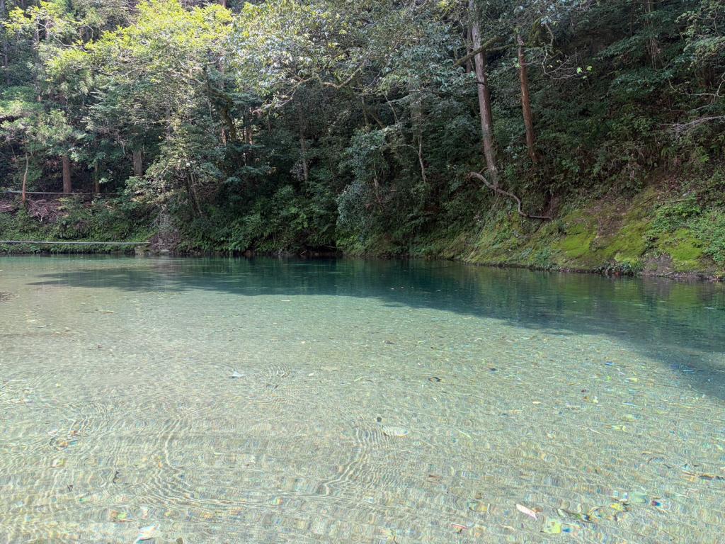 暑気払い